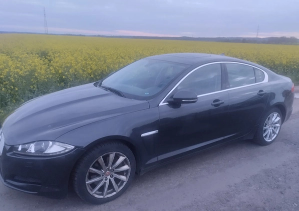 Jaguar XF cena 45500 przebieg: 114000, rok produkcji 2015 z Polkowice małe 37